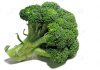 broccoli-243306