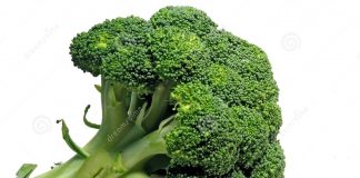 broccoli-243306