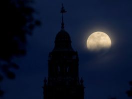5 Fakta Blue Moon Si Bulan Biru yang Muncul 22 Agustus. Foto: REUTERS/Mike Blake